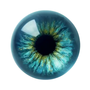 iris eye