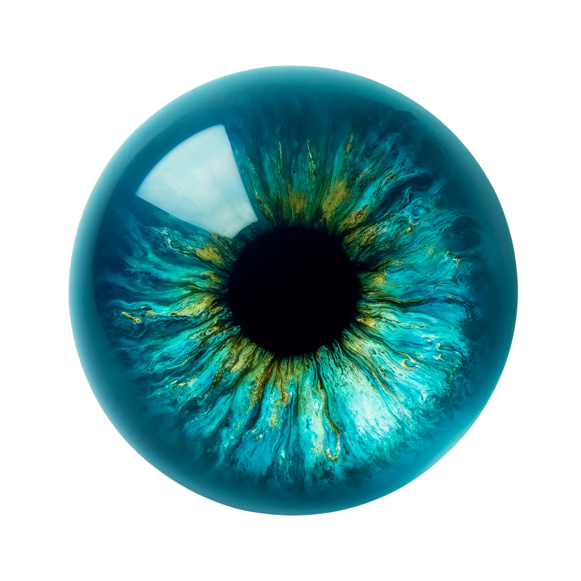 iris eye